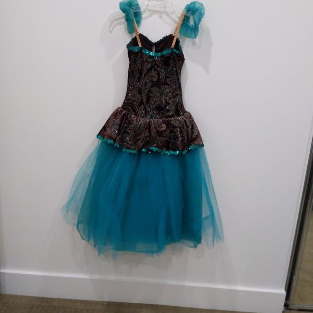 Petite Size Dance Cocktail Dress Paisley Chiffon